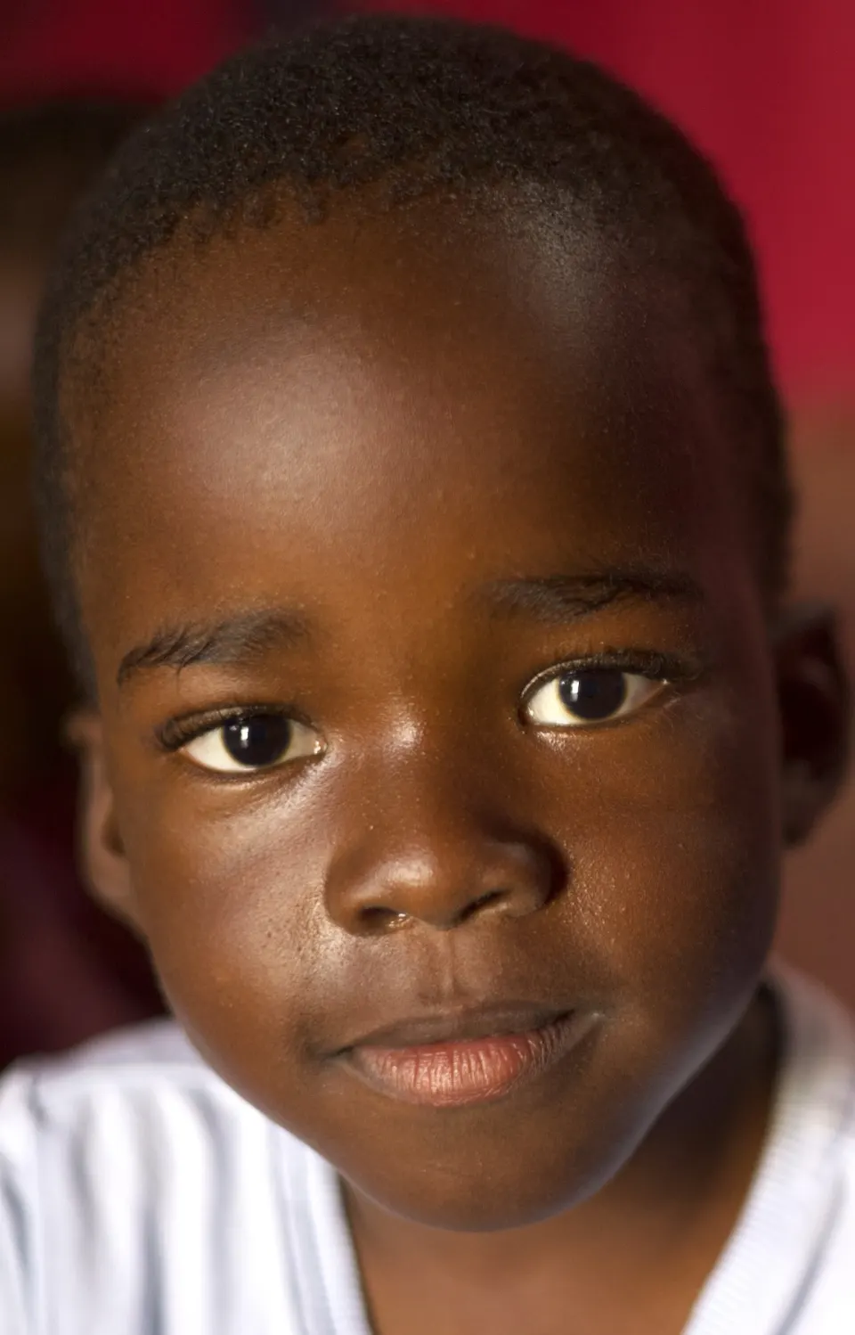 A young boy in a white shirt looks at the camera.